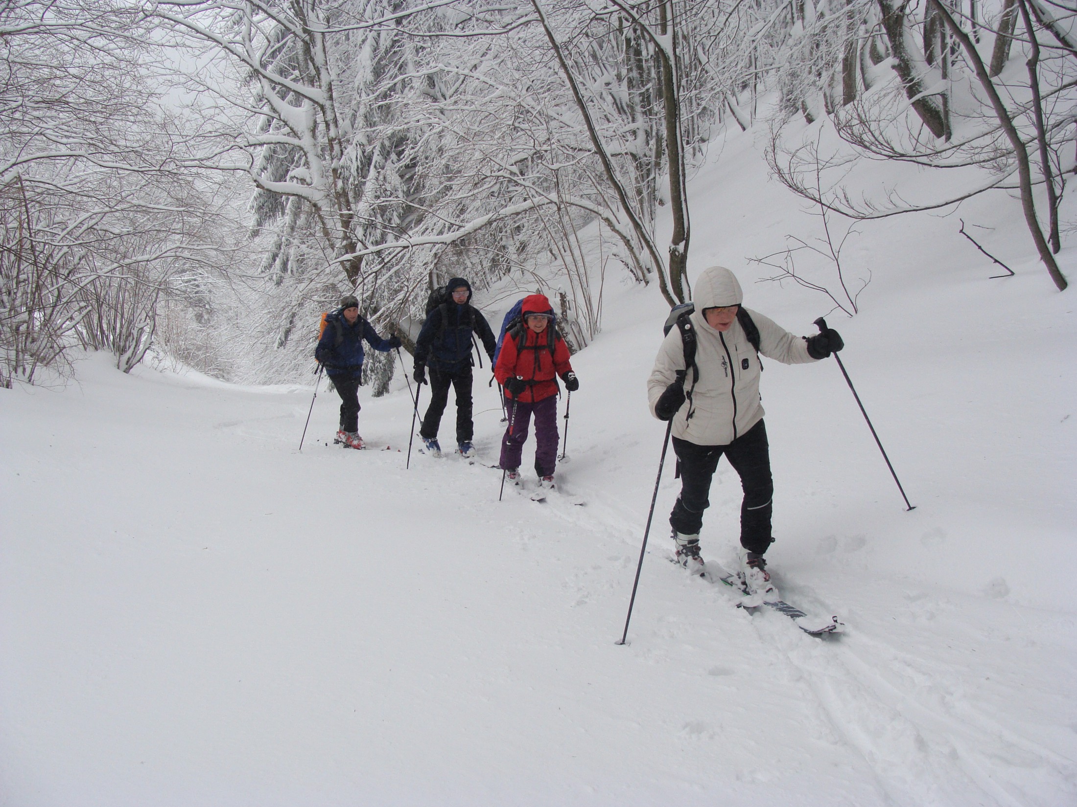 Vorweihnachtliche Skitour für Einsteiger*innen zum Eisenstein