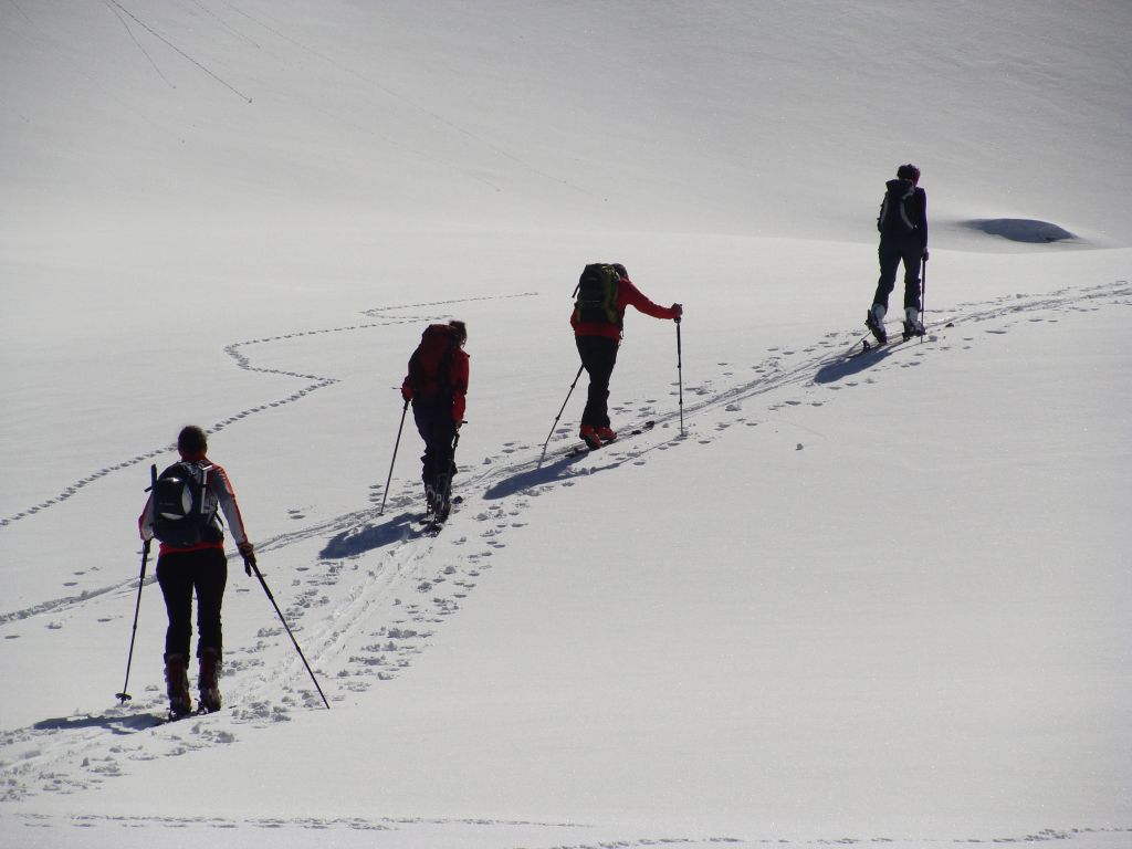 Ski-Hochtourenkurs Stubaier Alpen